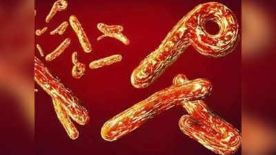 Tanzania Ebola Like virus: तंजानिया में फैला रहस्यमय वायरस, लक्षण इबोला के लेकिन जांच में नहीं दिखता, अब तक तीन की मौत