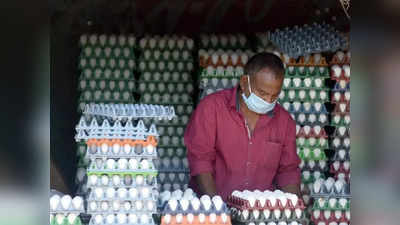 Namakkal Egg price: முட்டை விலை சரிவு.. பொதுமக்களுக்கு குட் நியூஸ்!