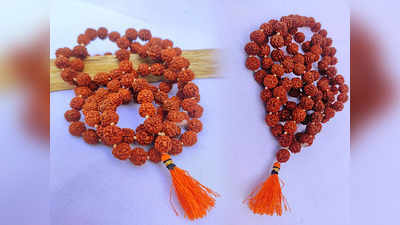 नकारात्मक उर्जा से सुरक्षा पाने के लिए सावन में धारण करें ये Rudraksha माला, बरसेगी भोलेनाथ की कृपा