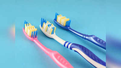 Oral Health : दांतों की अच्छी सफाई के लिए लोगों ने इन Tooth brush को किया है सबसे ज्यादा इस्तेमाल