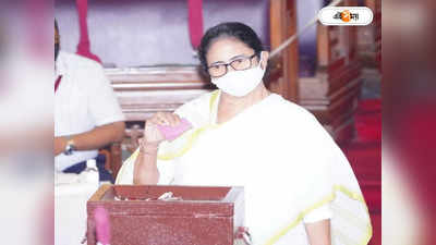 Mamata Banerjee: ভোট দিলেন মমতা, সময়ের আগেই বাংলায় শেষ রাষ্ট্রপতি নির্বাচন পর্ব