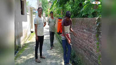 Dengue: উদ্বেগ বাড়াচ্ছে ডেঙ্গি, South Dinajpur-এ আক্রান্ত ৩ বছরের শিশু সহ ৪০ জন