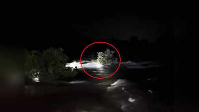 नदीत मधोमध अडकले ९ पर्यटक: अचानक पाण्याचा प्रवाहही वाढला; थरकाप उडवणारं रेस्क्यू ऑपरेशन