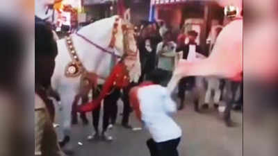 Horse Fun Video : గుర్రం ముందు డాన్స్.. ఏం చేసిందో చూస్తే నవ్వు ఆపుకోలేరు