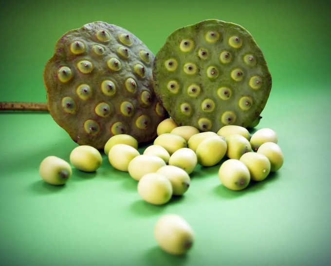 lotus seeds