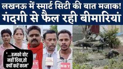 Lucknow News : 100 से ज्यादा सूअरों की मौत, लखनऊ में गंदगी से बुरा हाल, पार्षद और MLA लापता!