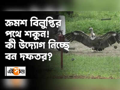 ক্রমশ বিলুপ্তির পথে শকুন