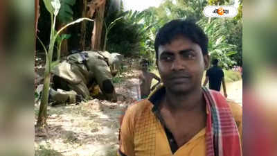 Murshidabad News: ব্যাগ ভর্তি তাজা বোমা উদ্ধার ঘিরে চাঞ্চল্য জলঙ্গিতে