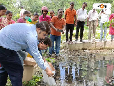 Malda News: ম্যালেরিয়া ও ডেঙ্গি প্রতিরোধ করতে মালদায় বিশেষ ব্যবস্থা