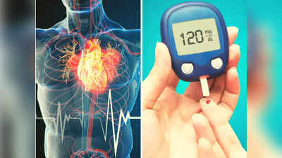 Side Effect of Diabetes: हाई शुगर दिल-गुर्दे कर सकता है फेल, Ayurveda डॉक्टर ने दिए बचाव के लिए 5 टिप्स