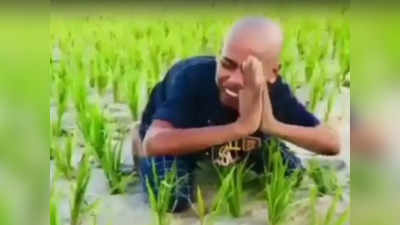 Drought in Bihar: धान के सूखते पौधों को देखकर चीत्कार मारता किसान...गोपालगंज का वायरल वीडियो देखकर पसीज जाएगा कलेजा