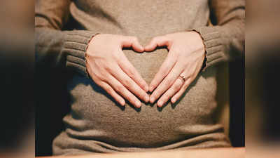 Pregnancy Vastu Tips: গর্ভবতী স্ত্রীরা মেনে চলুন বাস্তুর এই সহজ নিয়ম, সন্তান হবে সুস্থ-সবল