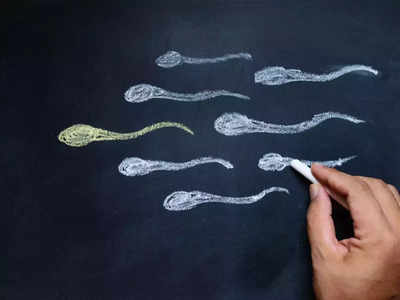 Food For Sperm Count : लो स्पर्म काऊंट वाढवण्यासाठी ५ पदार्थ ठरतात अधिक फायदेशीर