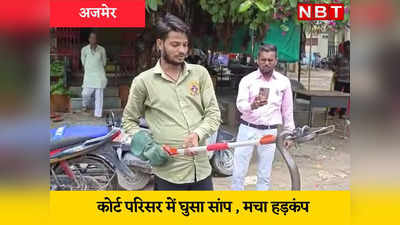 Rajasthan news: अजमेर के कोर्ट परिसर में घुसे 6 फीट के कोबरा सांप ने फैलाई दहशत, मचा हड़कंप
