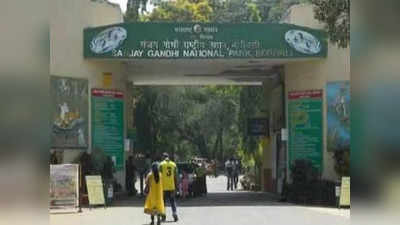 SGNP Job 2022: संजय गांधी राष्ट्रीय उद्यान अंतर्गत विविध पदांची भरती