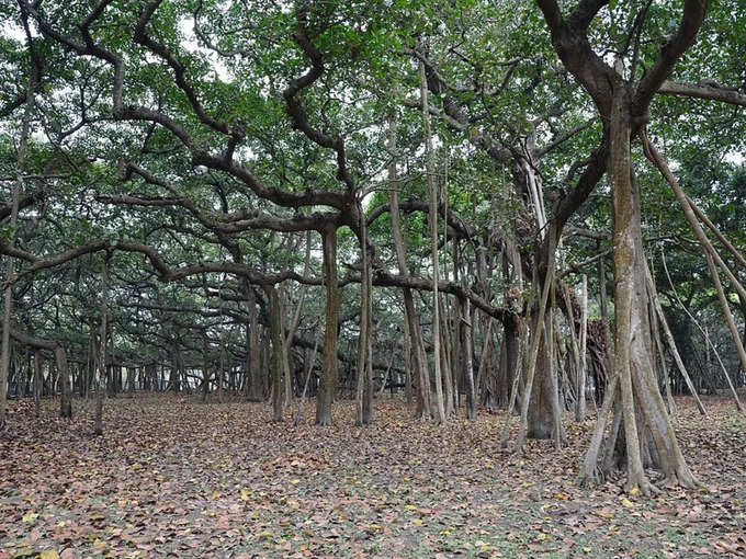 ​ಆಚಾರ್ಯ ಜಗದೀಶ್‌ ಚಂದ್ರ ಬೋಸ್‌ ಉದ್ಯಾನ