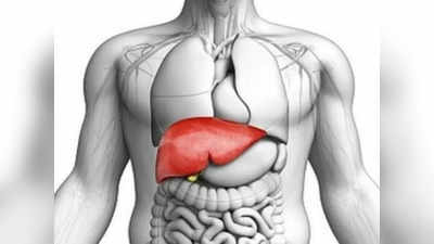 Hepatitis Diet Recommendations: കരള്‍വീക്കം ഉള്ളവര്‍ ഈ ഭക്ഷണങ്ങള്‍ കഴിക്കരുത്