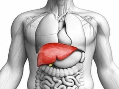 Hepatitis Diet Recommendations: കരള്‍വീക്കം ഉള്ളവര്‍ ഈ ഭക്ഷണങ്ങള്‍ കഴിക്കരുത്