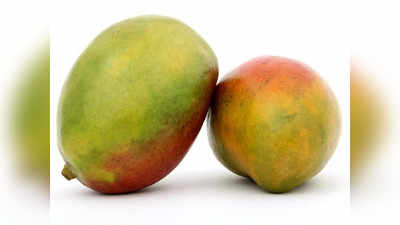 National Mango Day : నేడు మామిడి పండ్ల దినోత్సవం .. ఈ నిజాలు మీకు తెలుసా?
