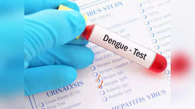 Dengue Fever: ರಾಜ್ಯಾದ್ಯಂತ ಡೆಂಗ್ಯೂ ಪ್ರಕರಣಗಳ ಏರಿಕೆ..! 20 ದಿನಗಳಲ್ಲಿ 1075 ಕೇಸ್ ದೃಢ..!
