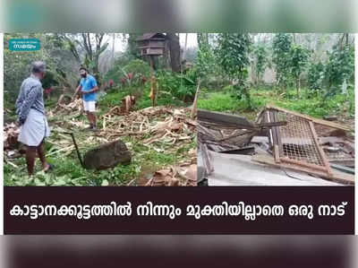 കാട്ടാനക്കൂട്ടത്തിൽ നിന്നും മുക്തിയില്ലാതെ ഒരു നാട്