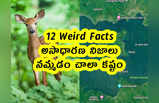 12 Weird Facts : అసాధారణ నిజాలు .. నమ్మడం చాలా కష్టం