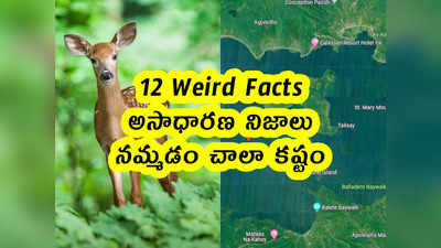 12 Weird Facts : అసాధారణ నిజాలు .. నమ్మడం చాలా కష్టం 