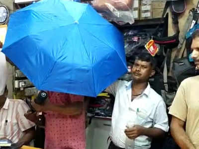 Umbrella Sell: বৃষ্টির অভাবে ছাতা বিক্রি বন্ধ! দোকানের শোকেসেই আটকে বর্ষাতি