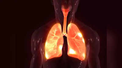 lung diseases: நுரையீரல் புற்றுநோயின் ஆரம்ப கால அறிகுறிகள்...