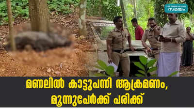 മണലിൽ കാട്ടുപന്നി ആക്രമണം, മൂന്നുപേർക്ക് പരിക്ക്