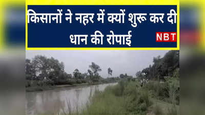 Gopalganj: बारिश नहीं होने से खेतों में दरारें, किसानों ने नहर में शुरू कर दी धान की खेती