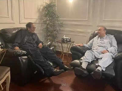 एक जरदारी सब पर भारी... पंजाब मुख्यमंत्री चुनाव में इस एक मीटिंग ने कैसे छीनी इमरान की जीती हुई बाजी