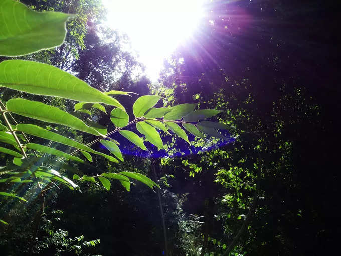 ಕೋಮಿಕ್ ಗ್ರಾಮ