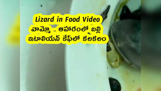 Lizard in Food Video : వామ్మో .. ఆహారంలో బల్లి .. కేఫ్‌లో కలకలం