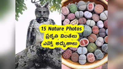 15 Nature Photos : ప్రకృతి వింతలు .. ఎన్నో అద్భుతాలు 