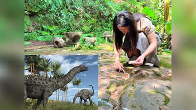 Dinosaur Footprints : चीन में रेस्तरां के भीतर मिले डायनासोर के पैरों के निशान, 10 करोड़ साल पहले जिंदा था दुनिया का सबसे बड़ा जानवर