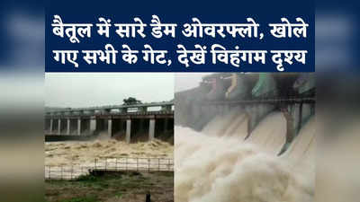 Betul: बैतूल में सतपुड़ा, पारसडोह, सापना और पारस डैम ओवरफ्लो, सभी के गेट खोले गए, देखें वीडियो