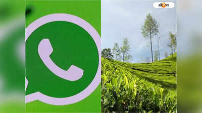 WhatsApp-এ সমাধান ! Alipurduar-এ চালু নতুন পরিষেবা