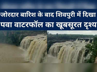Pawa Waterfall Beautiful Video: बारिश के बाद शिवपुरी में दिखा पवा वाटरफॉल का खूबसूरत दृश्य, देखें