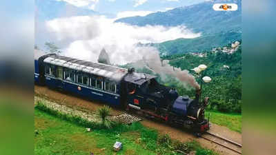 Toy Train Darjeeling: রেললাইনের উপরই ভেঙে পড়েছে গাছ, Tindharia থেকে ফিরে গেল টয় ট্রেন
