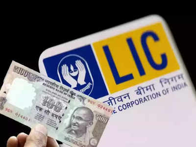 LIC Policy: চার বছর টাকা দিলেই মিলবে 1 কোটি! দুর্দান্ত স্কিম নিয়ে হাজির এলআইসি