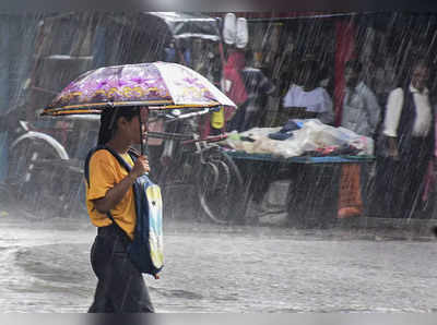 Maharashtra Rain Update: राज्यात पुढच्या ३ दिवसांत धुवांधार पाऊस, हवामान खात्याकडून या जिल्ह्यांना अलर्ट