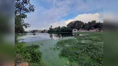 Jhansi : पहूज नदी में गिराए जा रहे गंदे नाले, सालों से अधर में अटकी है एसटीपी की योजना