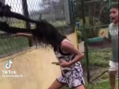 Spider Monkeys Attack : బాలికపై స్పైడర్ కోతుల దాడి.. జుట్టు పట్టుకొని...