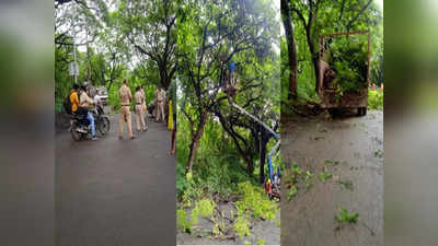 Aarey Car Shed: मेट्रो कारशेडसाठी झाडांवर पुन्हा कुऱ्हाड, पोलीस संरक्षणात आरेतील झाडं कापायला सुरुवात