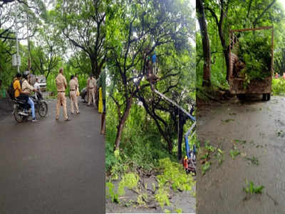Aarey Car Shed: मेट्रो कारशेडसाठी झाडांवर पुन्हा कुऱ्हाड, पोलीस संरक्षणात आरेतील झाडं कापायला सुरुवात