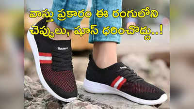 Footwear Vastu Tips : లైఫ్ లో సక్సెస్ కావాలంటే ఈ రంగు పాదరక్షలను ధరించొద్దు...!