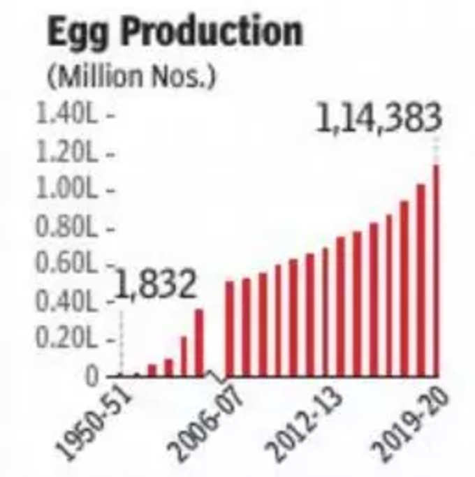 egg production