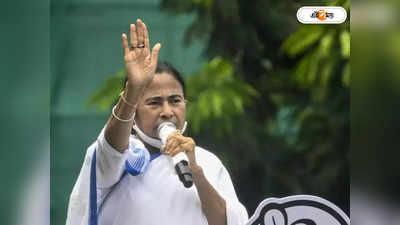 Mamata Banerjee: “আহত সিংহ আরও ভয়ংকর”, বিরোধীদের ‘চোখ রাঙানি’-র পালটা মমতার