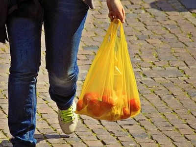 Plastic Ban: সরকারি নিষেধাজ্ঞায় বাজার থেকে ভ্যানিশ একাধিক জিনিস, এবার আপনার বাড়ির পালা!